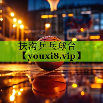扶沟乒乓球台