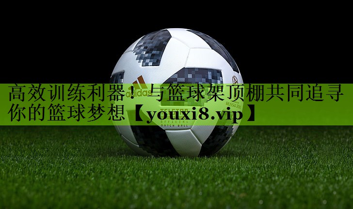 高效训练利器！与篮球架顶棚共同追寻你的篮球梦想