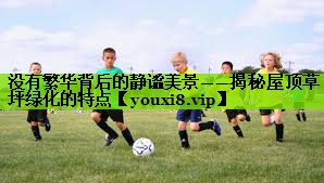 没有繁华背后的静谧美景——揭秘屋顶草坪绿化的特点