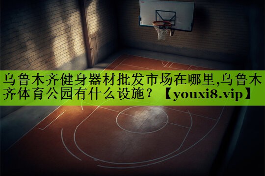 乌鲁木齐健身器材批发市场在哪里,乌鲁木齐体育公园有什么设施？