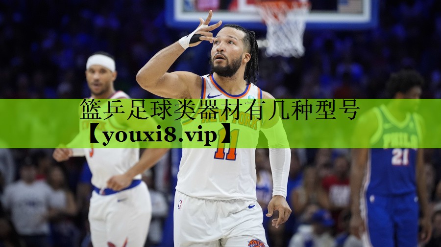篮乒足球类器材有几种型号