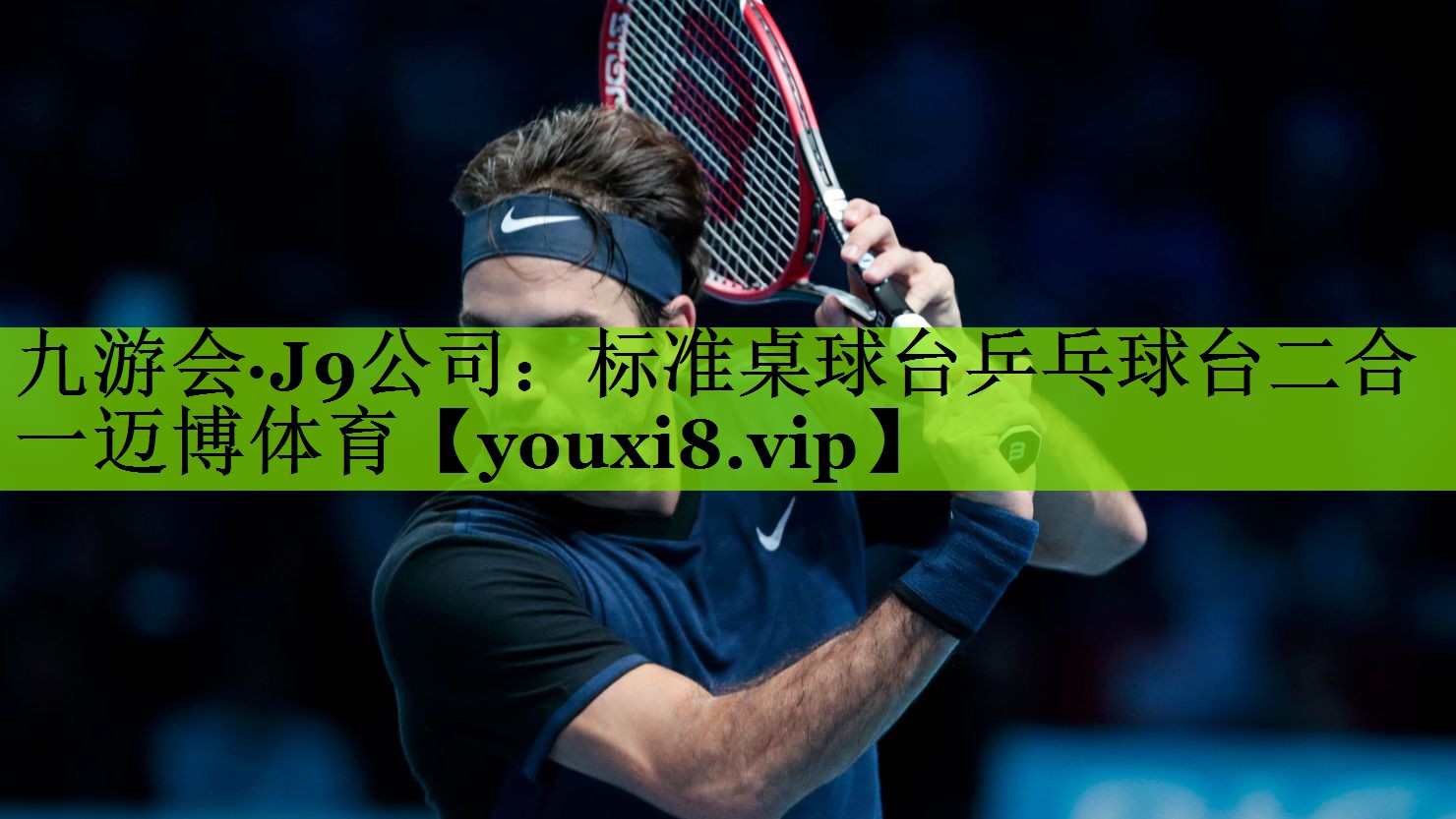 九游会·J9公司：标准桌球台乒乓球台二合一迈博体育