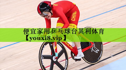 便宜家用乒乓球台其利体育