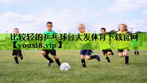 比较轻的乒乓球台大发体育下载官网