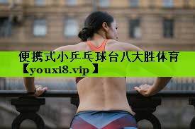 便携式小乒乓球台八大胜体育
