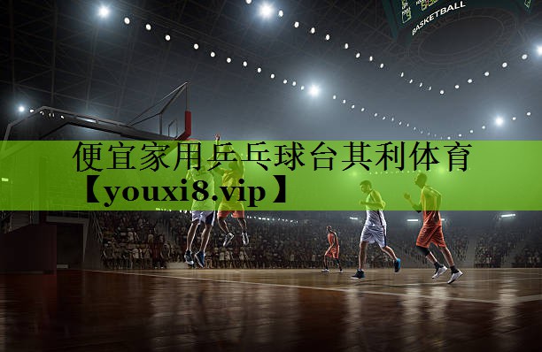 便宜家用乒乓球台其利体育