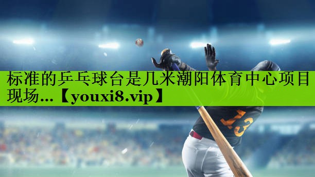 标准的乒乓球台是几米潮阳体育中心项目现场…