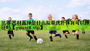 比赛器材篮球是什么垃圾虎扑体育可以押注吗