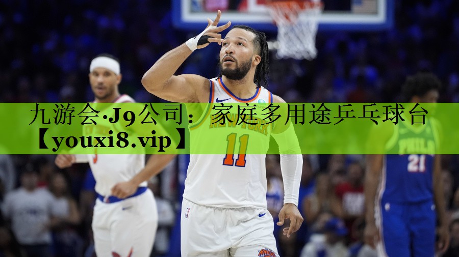 家庭多用途乒乓球台