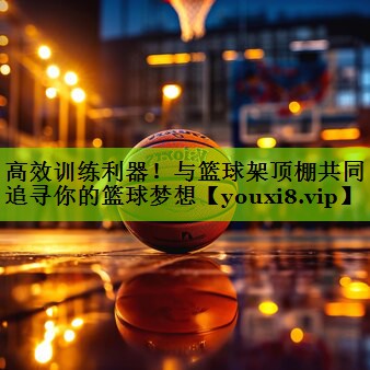 高效训练利器！与篮球架顶棚共同追寻你的篮球梦想