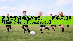 没有繁华背后的静谧美景——揭秘屋顶草坪绿化的特点