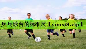乒乓球台的标准尺