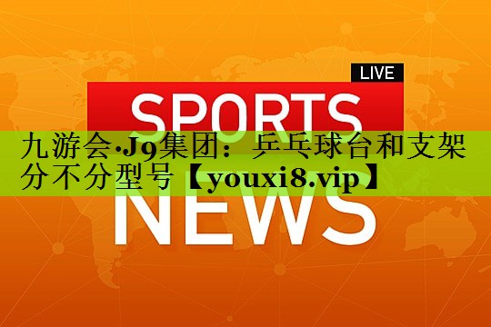 乒乓球台和支架分不分型号