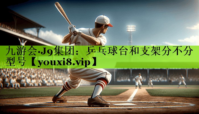 乒乓球台和支架分不分型号