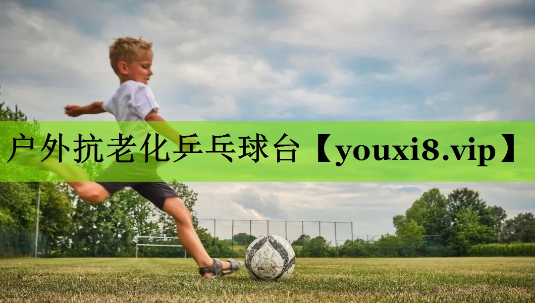 户外抗老化乒乓球台