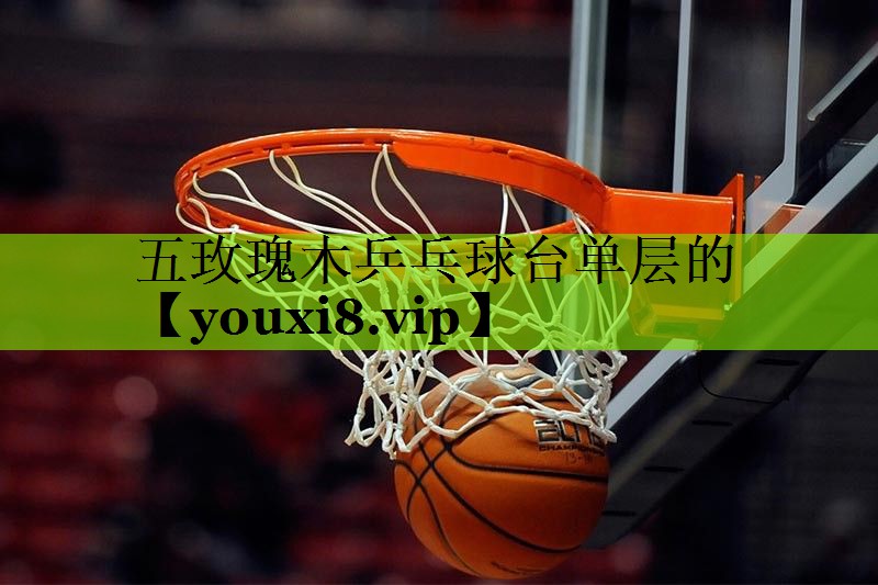 五玫瑰木乒乓球台单层的